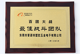 最佳戰(zhàn)斗團隊